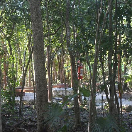 Glamping Mayan Glam Tulum Eksteriør billede