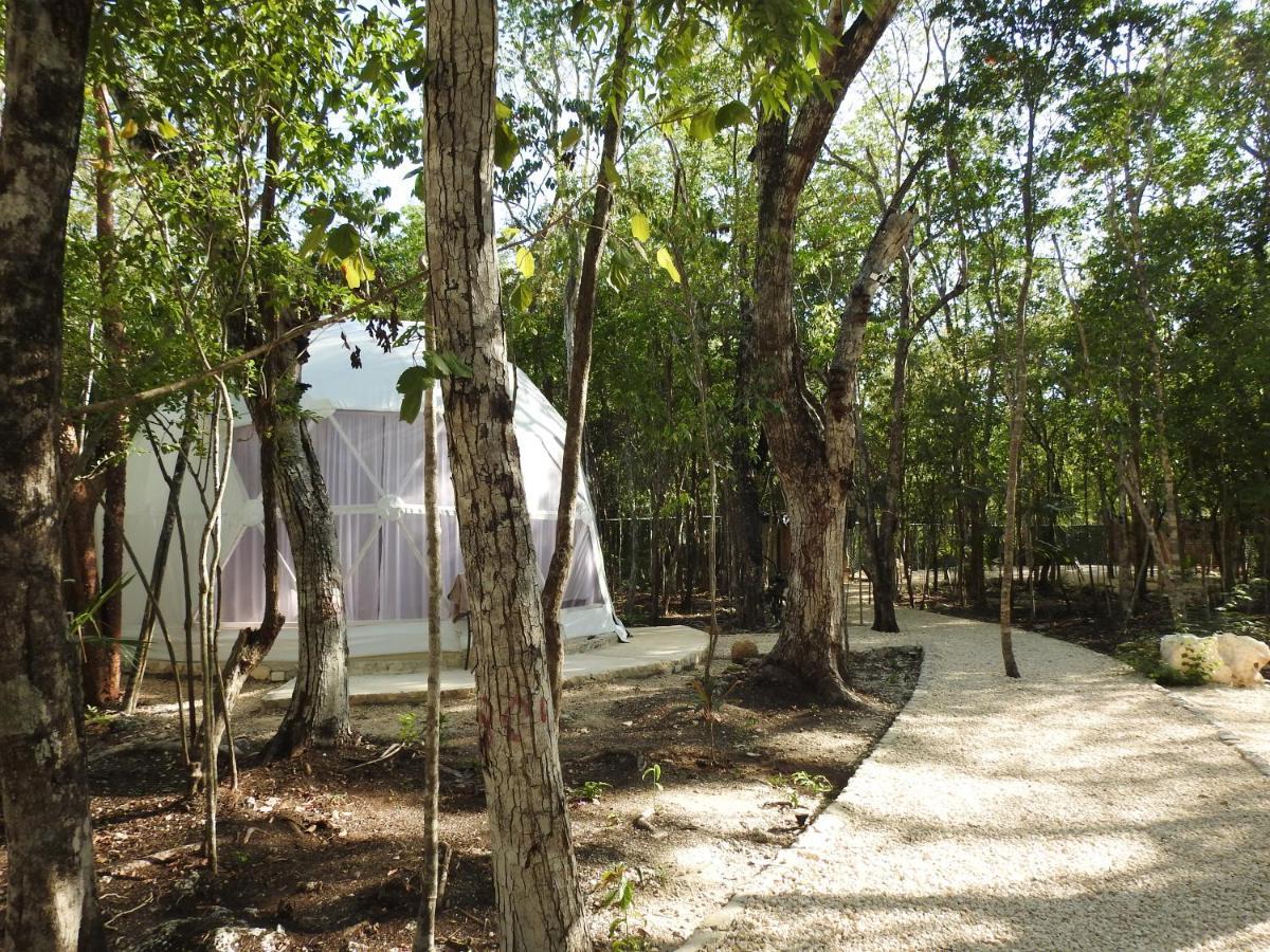 Glamping Mayan Glam Tulum Eksteriør billede