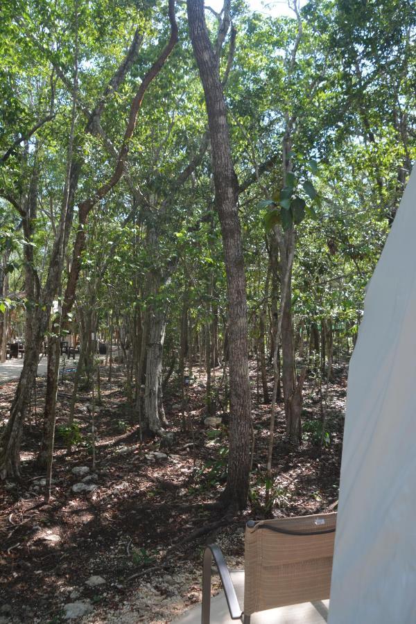 Glamping Mayan Glam Tulum Eksteriør billede