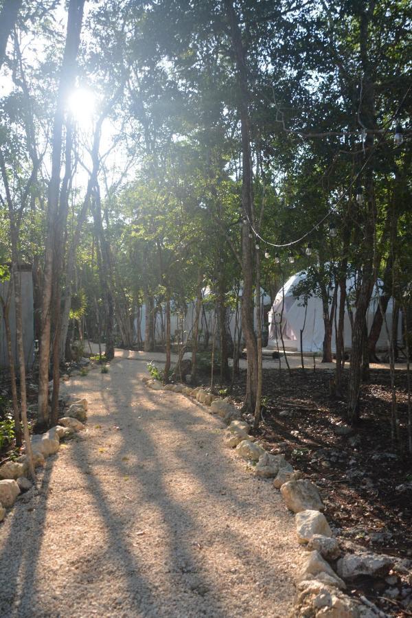 Glamping Mayan Glam Tulum Eksteriør billede